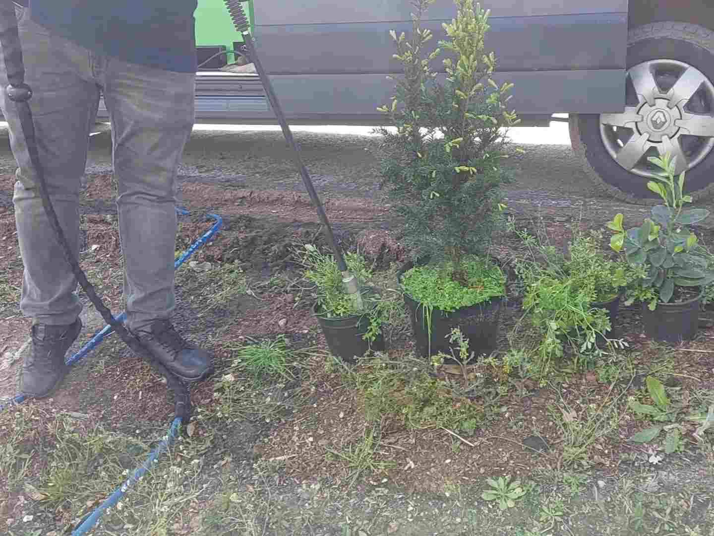 Managing Weeds in a plant nursery without Chemicals - Cover Image